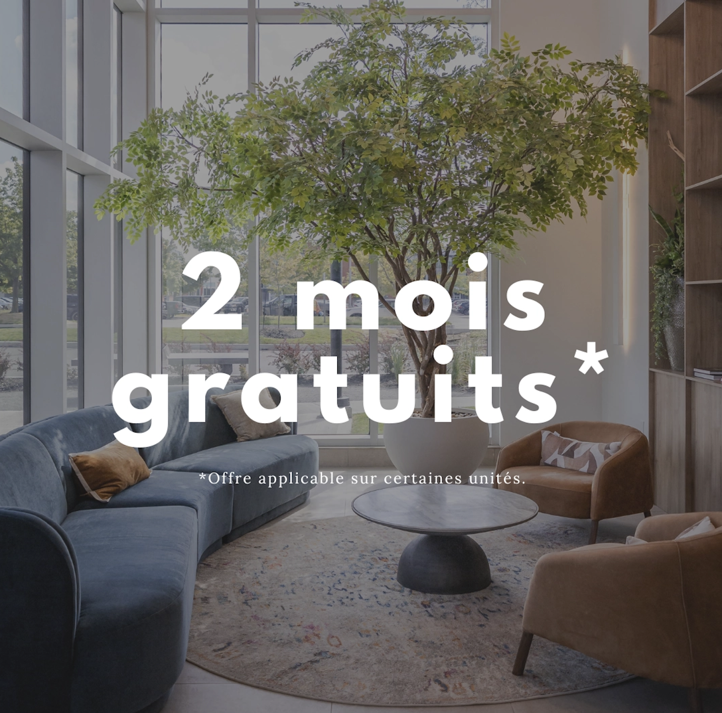 Mostra Centropolis - 2 mois gratuits